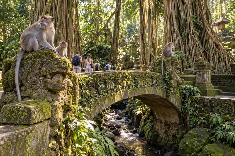 Illustration of macaques and visitors at Ubud Monkey Forest